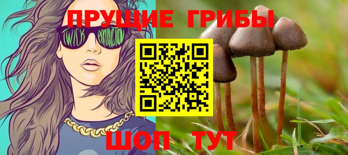 Псилоцибиновые грибы прущие грибы  Галлюциногенные грибы прущие грибы  Саянск  Вход с VPN 